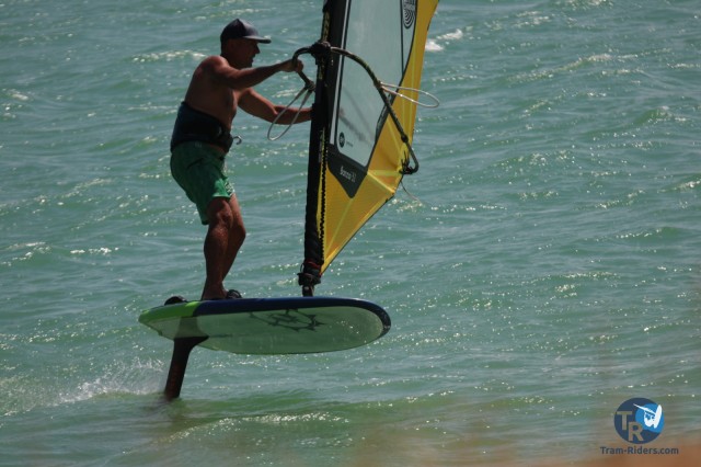 20200815-foil-ganguise075