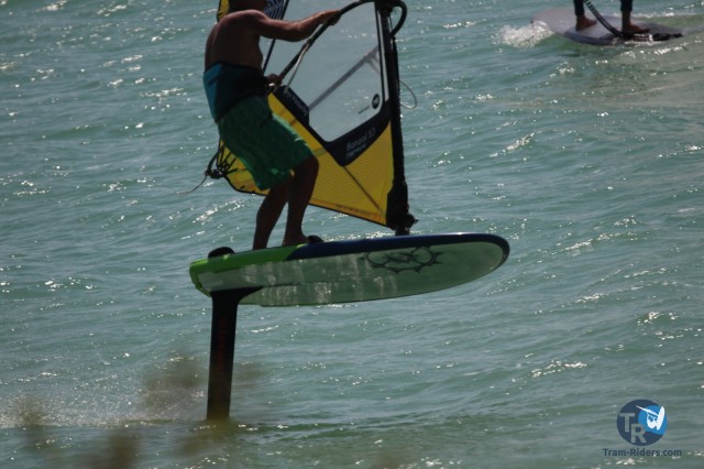 20200815-foil-ganguise077