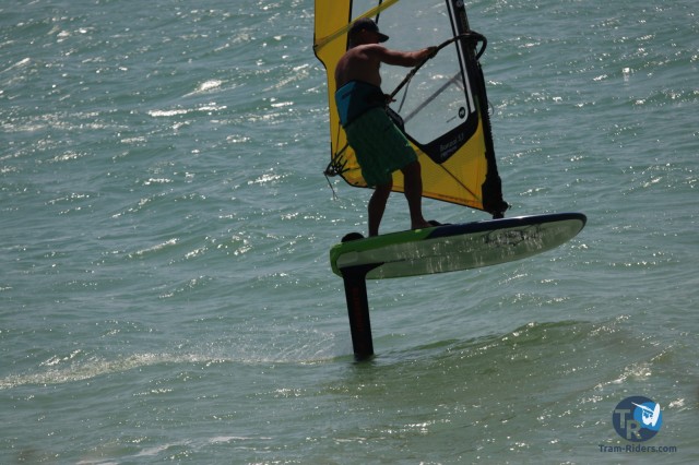 20200815-foil-ganguise078