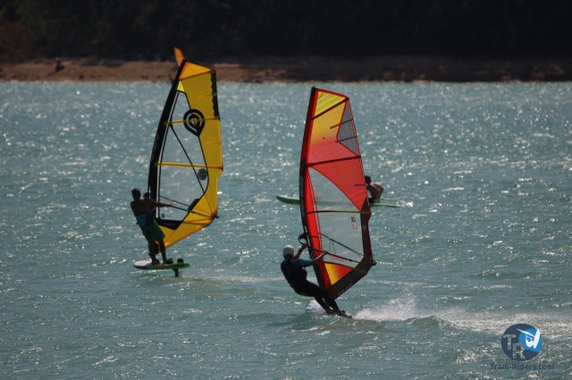 20200815-foil-ganguise079