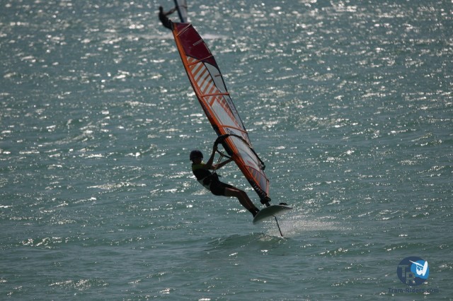 20200815-foil-ganguise081