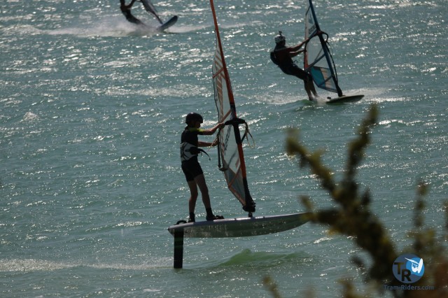 20200815-foil-ganguise082