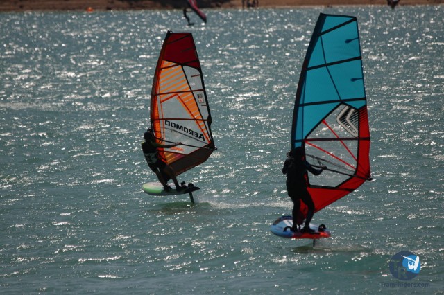 20200815-foil-ganguise083