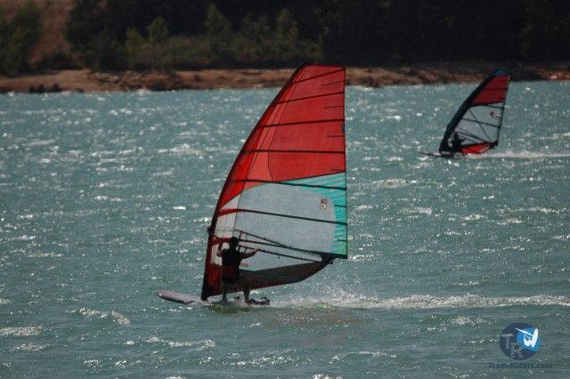 20200815-foil-ganguise084