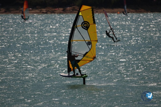 20200815-foil-ganguise087