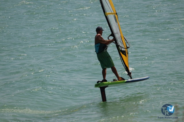 20200815-foil-ganguise091