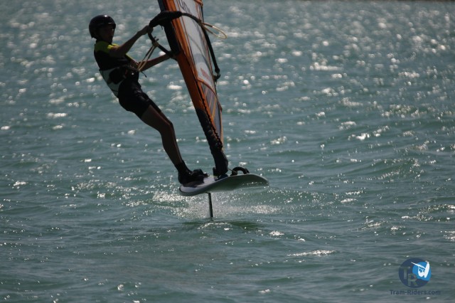 20200815-foil-ganguise100