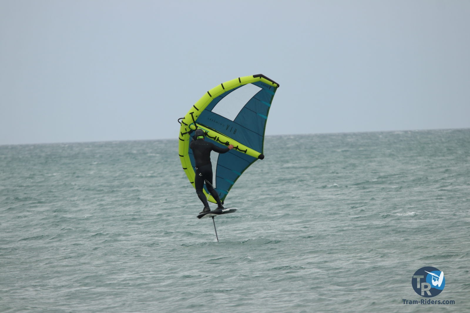 20210312-wing-franqui-069
