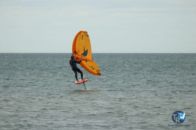 20210312-wing-franqui-066