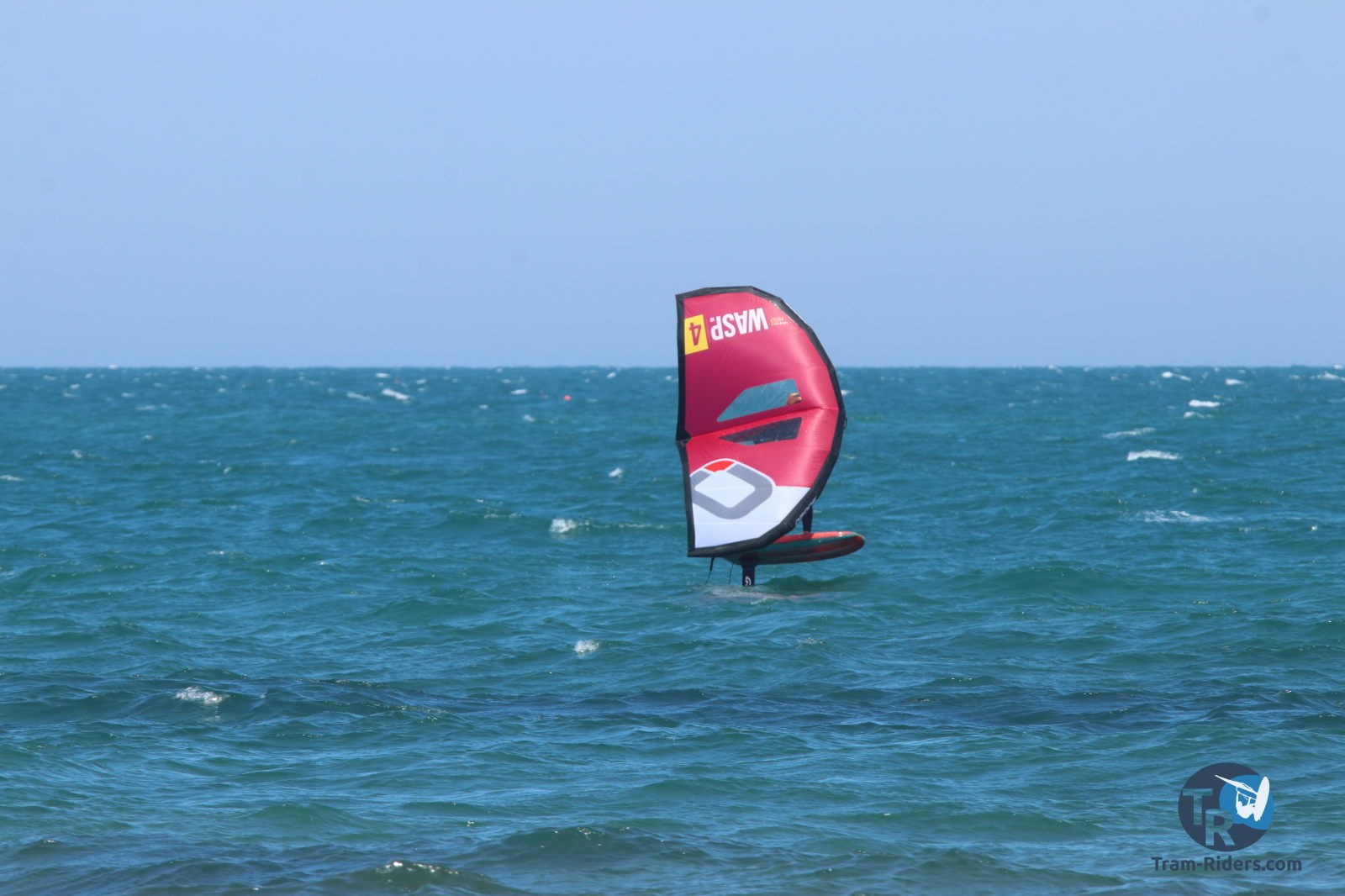 20210424-Marin-wing-franqui-001