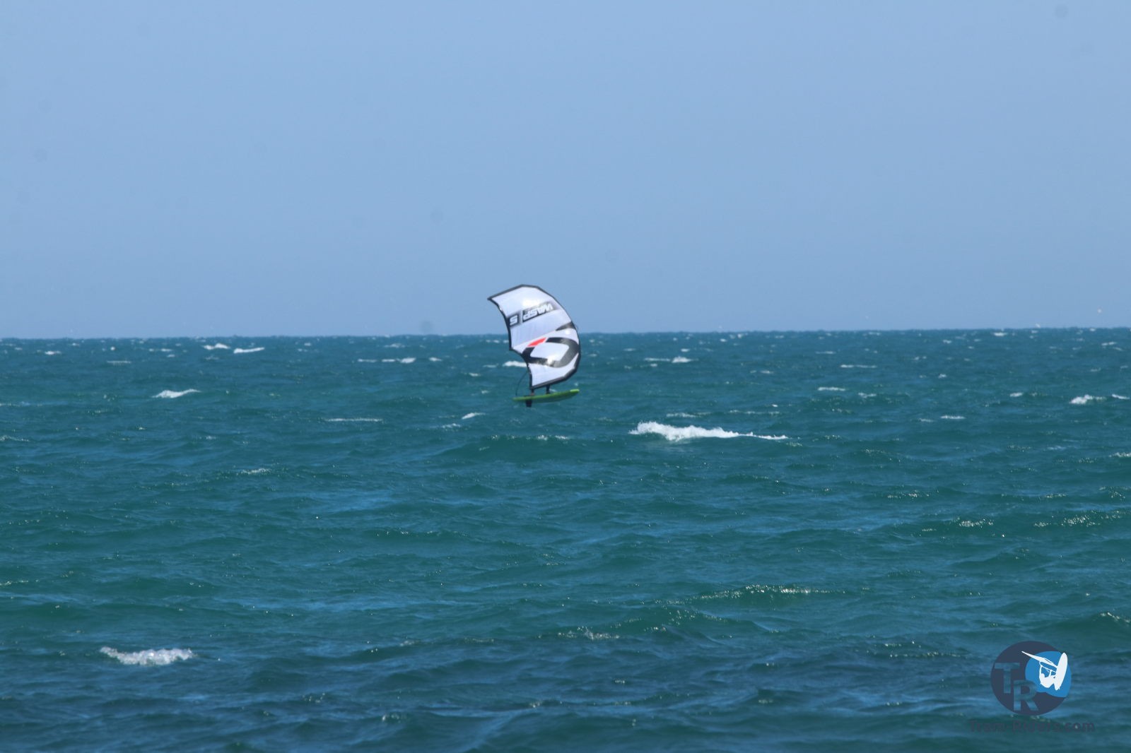 20210424-Marin-wing-franqui-008