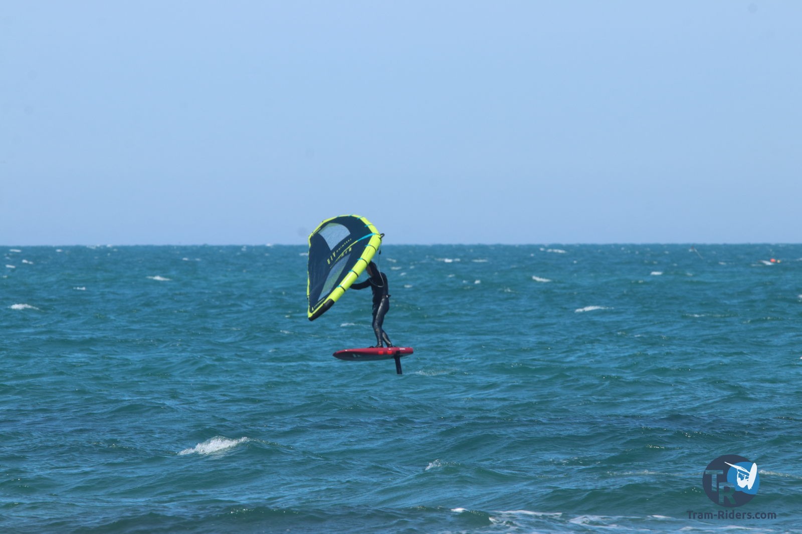 20210424-Marin-wing-franqui-046