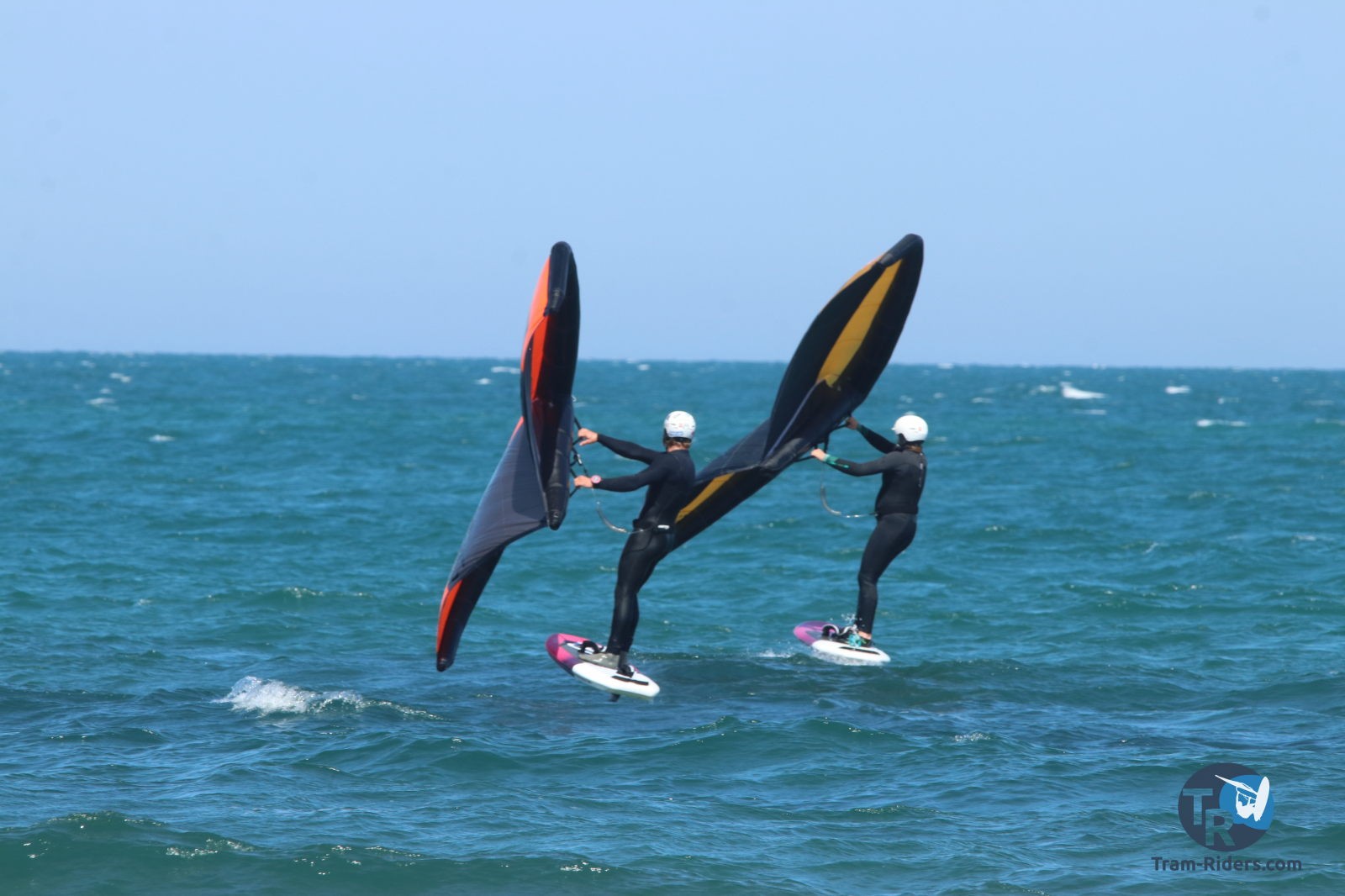 20210424-Marin-wing-franqui-057