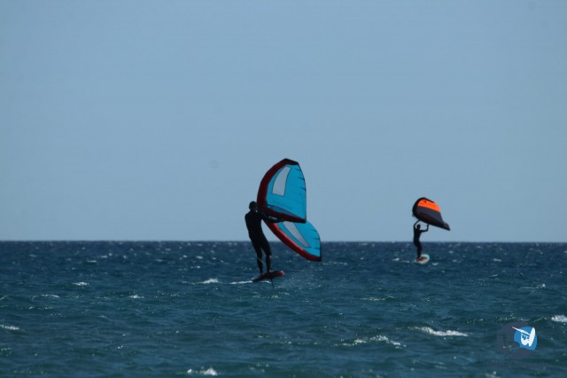 20210829-wing-Franqui-040