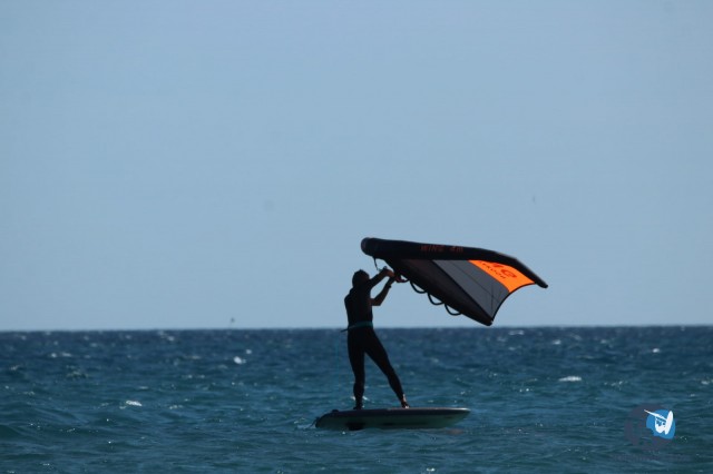 20210829-wing-Franqui-056